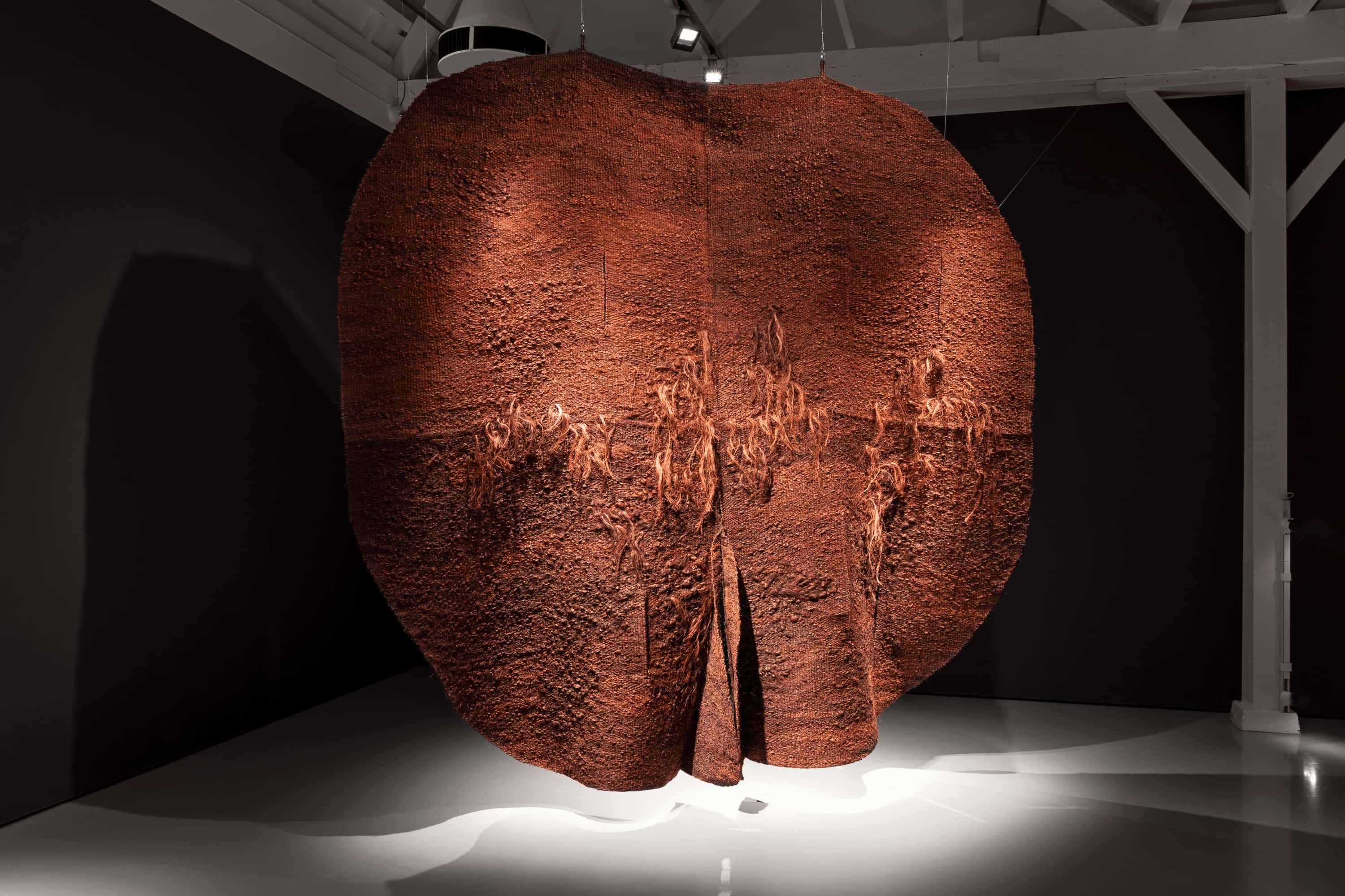 Afbeelding van Magdalena Abakanowicz kunstwerk